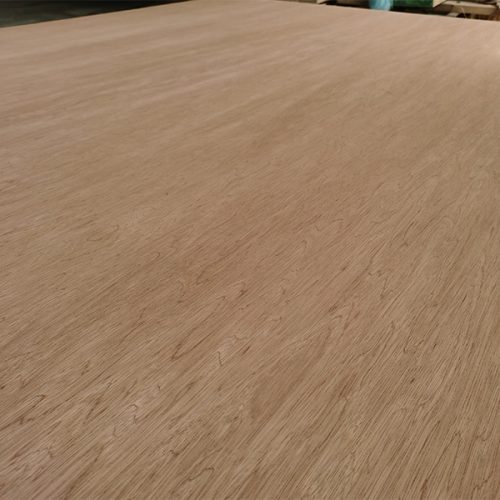 Bintangor Plywood Feature Image