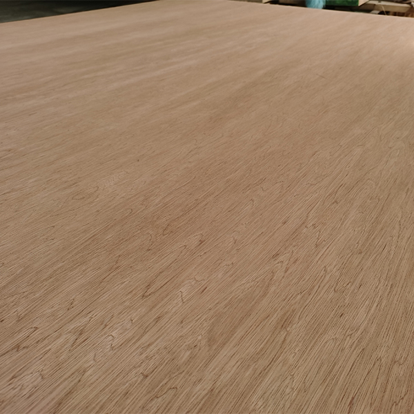 Bintangor Plywood Feature Image