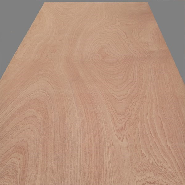 Sapele Plywood Feature Image