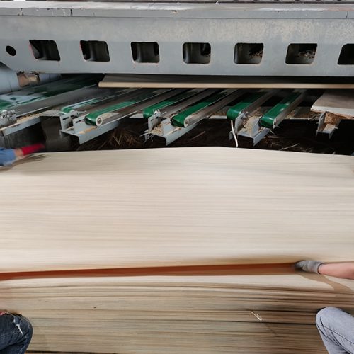 Sliced Veneer Feature Image